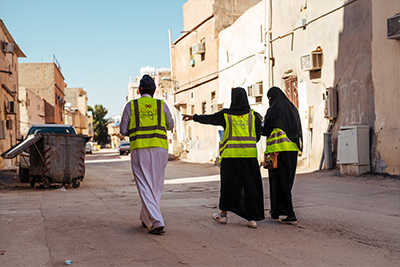 المسوح وإدارة البيانات